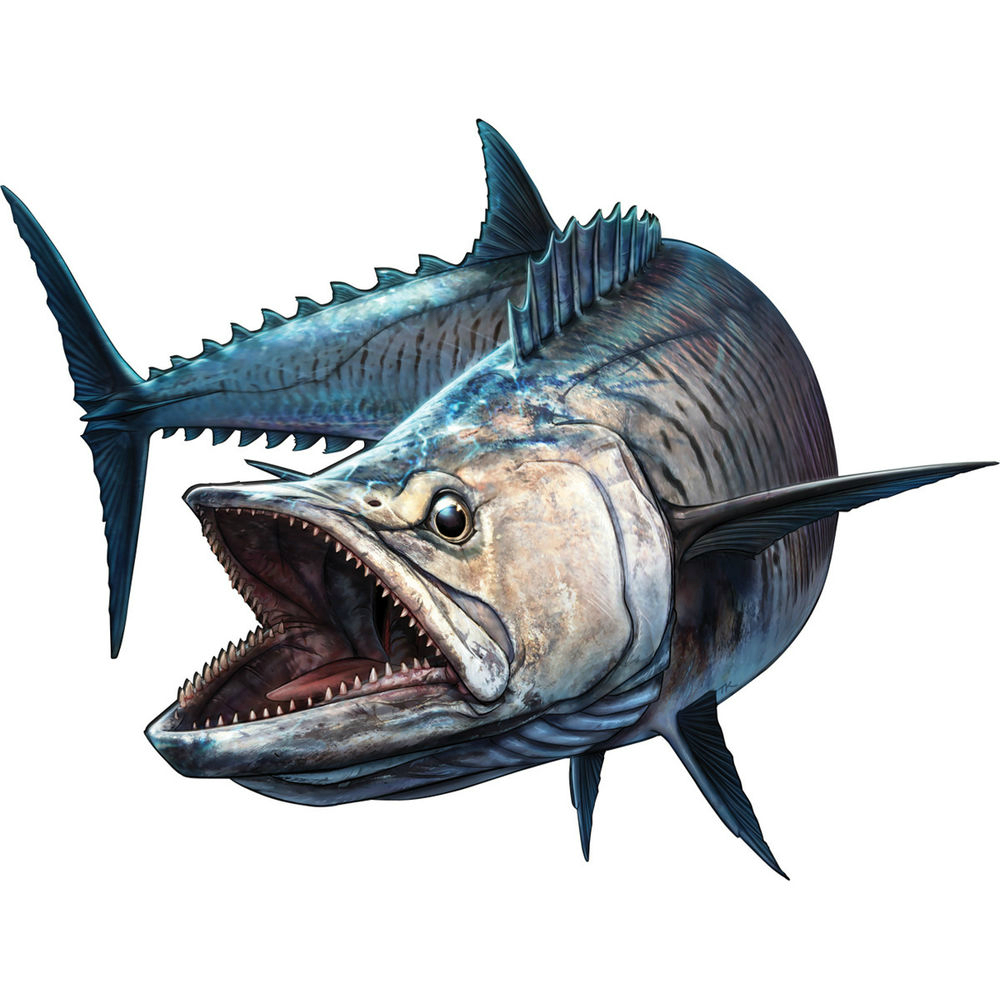 Bass Fishing Lure - Autocollant drôle de voiture de bar